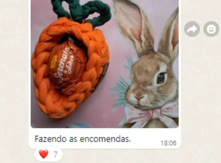 Mensagem de aluna no WhatsApp sobre o curso da Hellen